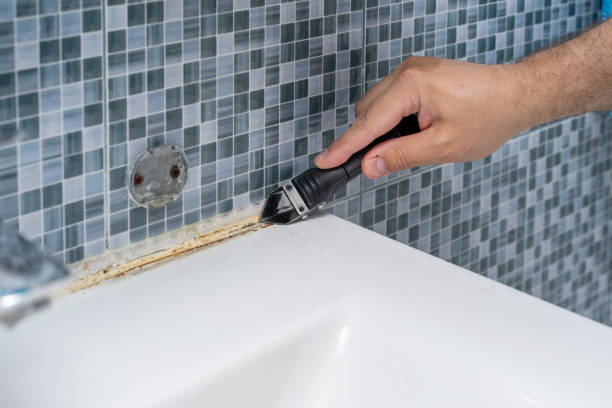 Best Affordable Mold Removal  in Central City, KY