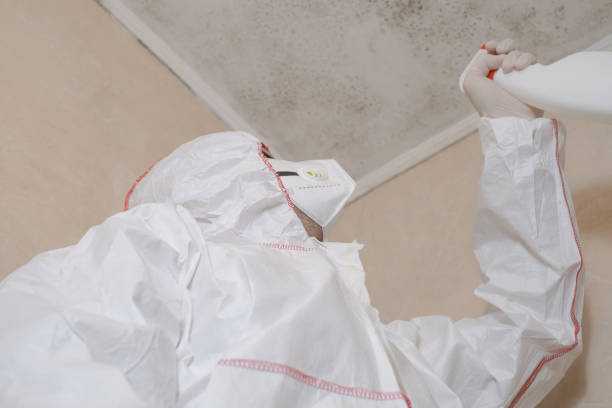 Central City, KY Mold Removal Company