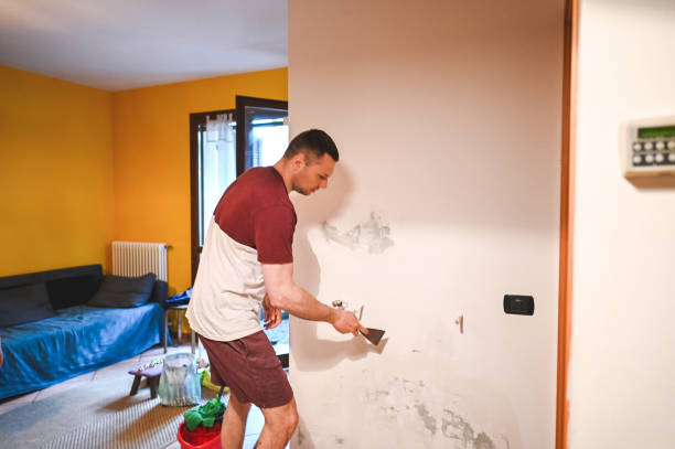 Best Office Mold Removal Services  in Central City, KY